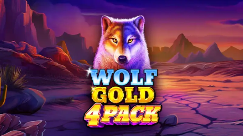 본문 첫번째 이미지