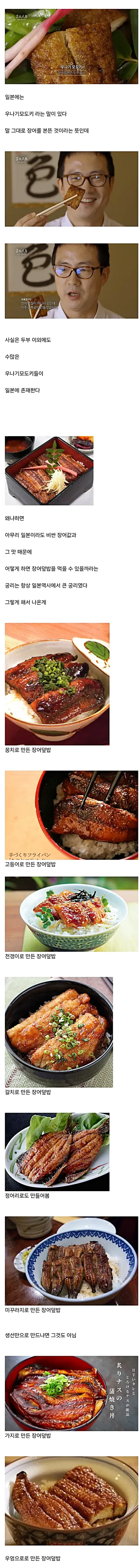 장어에 진심인 나라