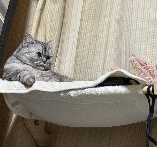 입양한지 2년...