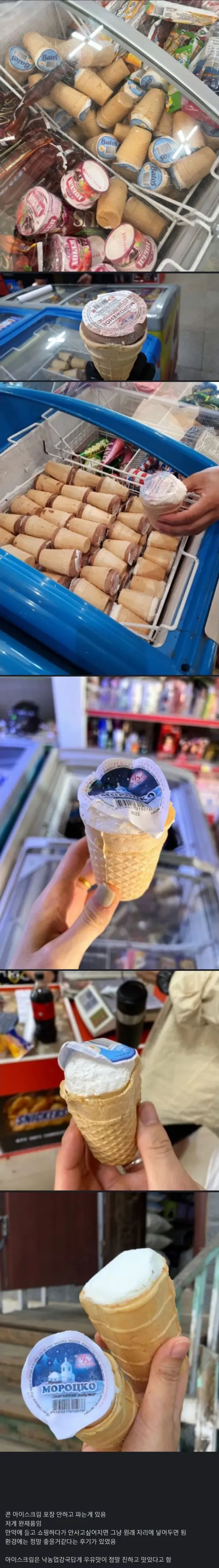 몽골 친환경 아이스크림