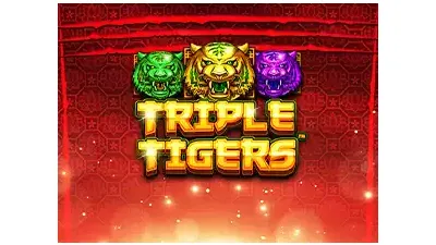 트리플 타이거스™