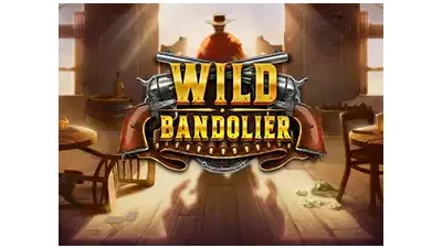 황량한 서부의 탄띠