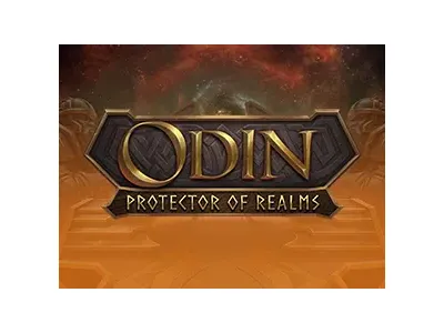 오딘 왕국의 수호자